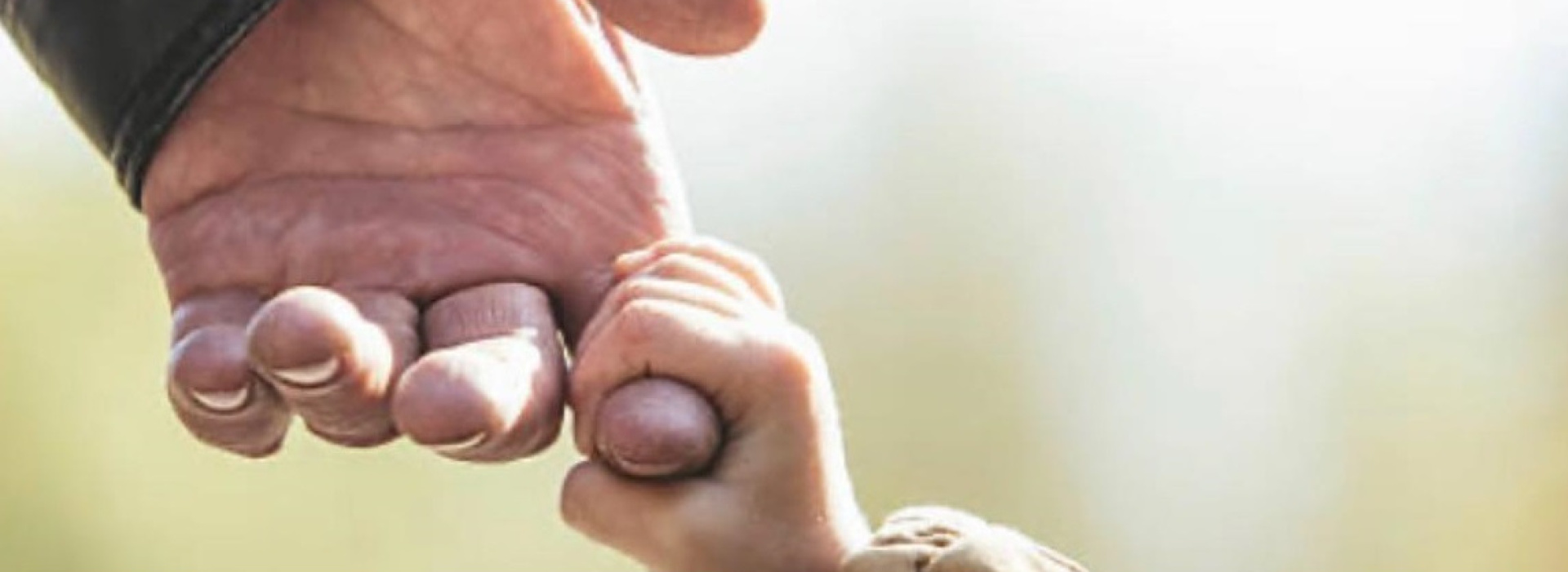 Association des grands-parents du Québec